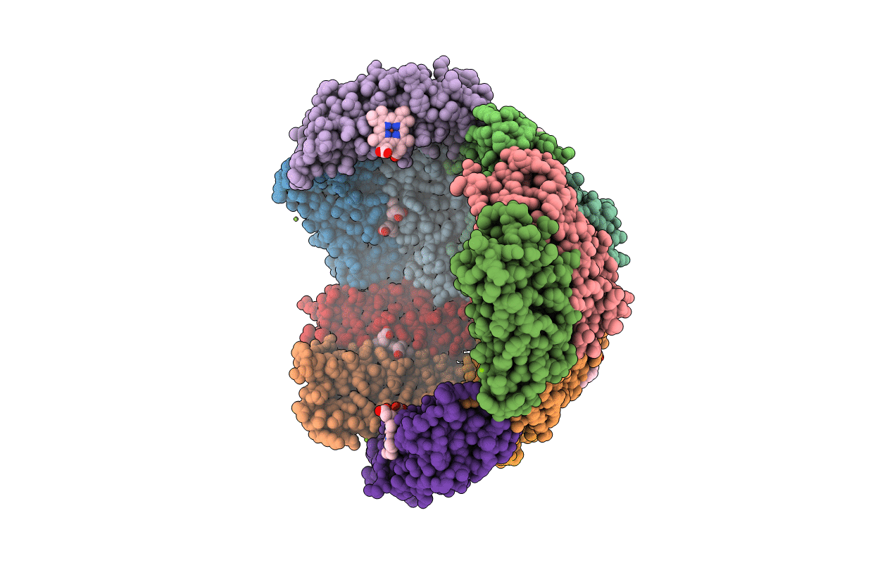 3BKN image