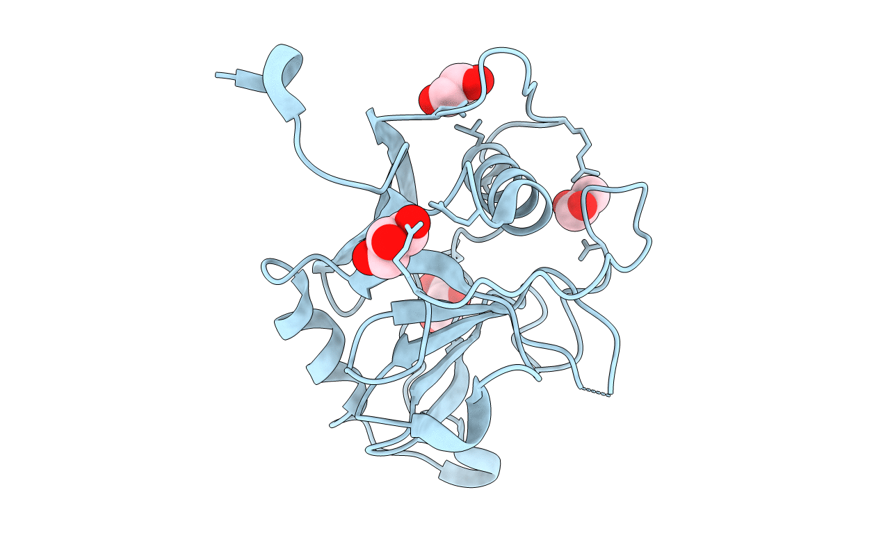 3BKP image