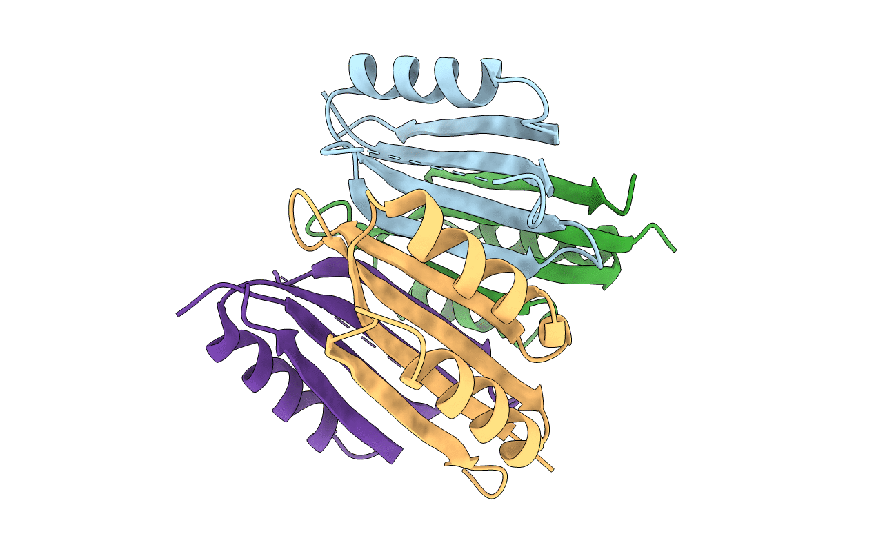 3BKU image