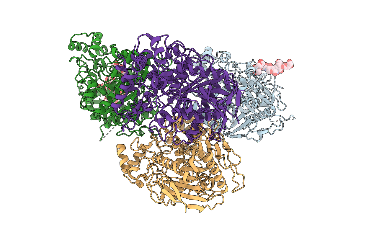 3BL8 image
