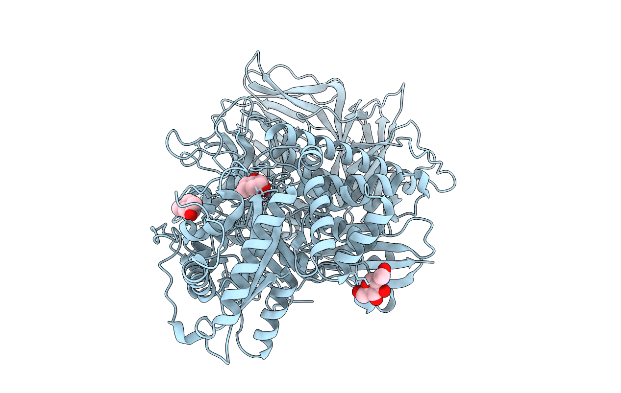3BLB image