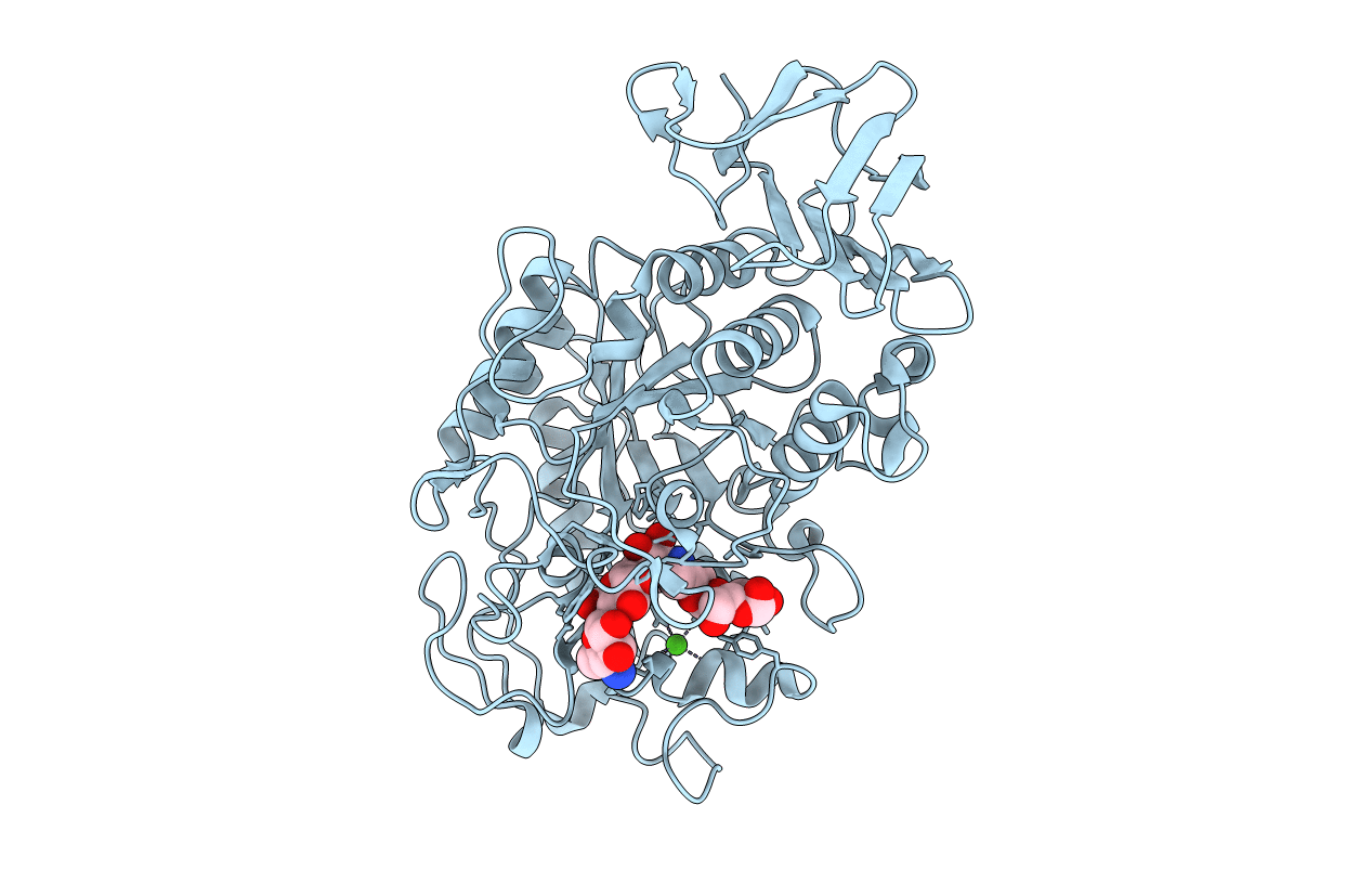 3BLP image
