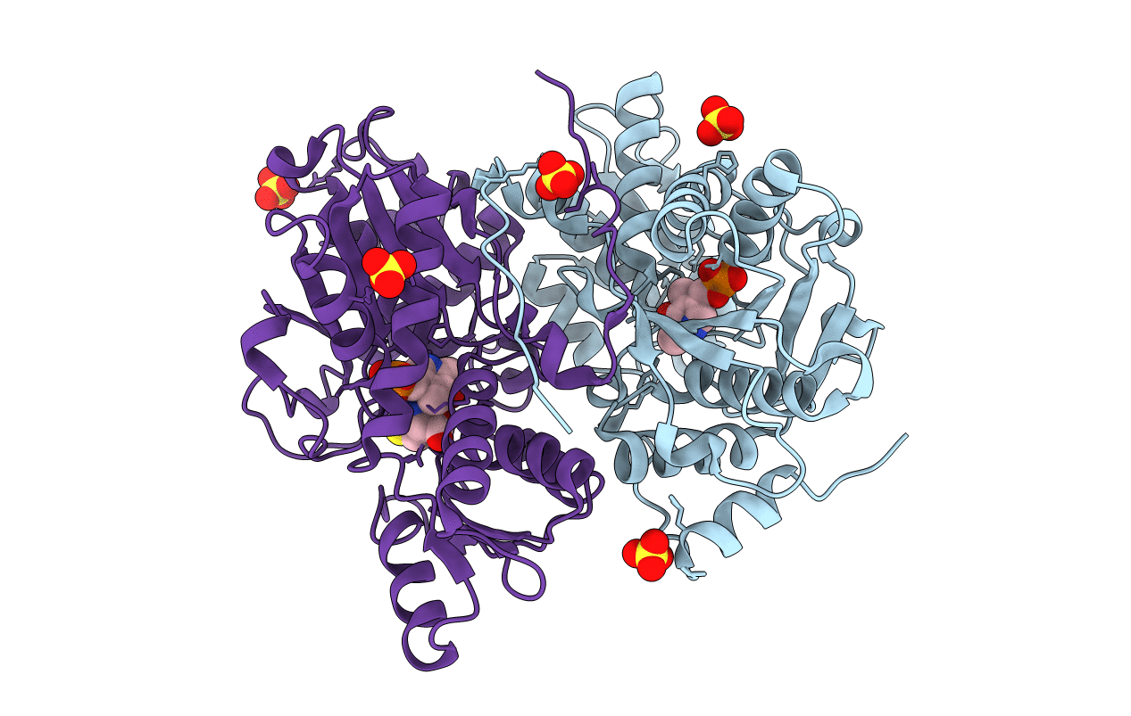 3BM5 image