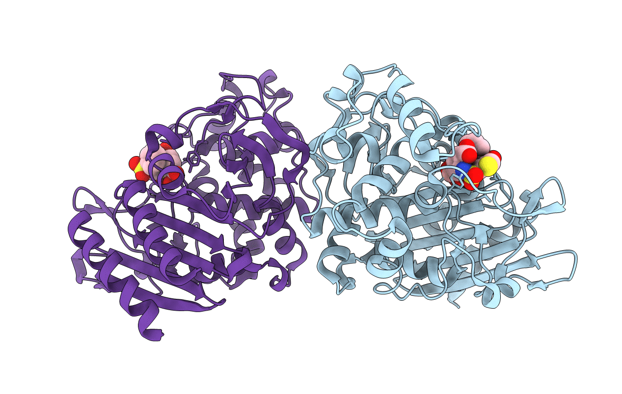 3BM6 image