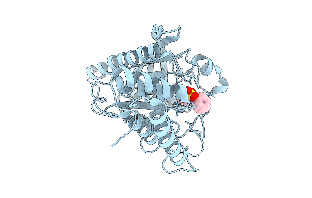 3BM8 image