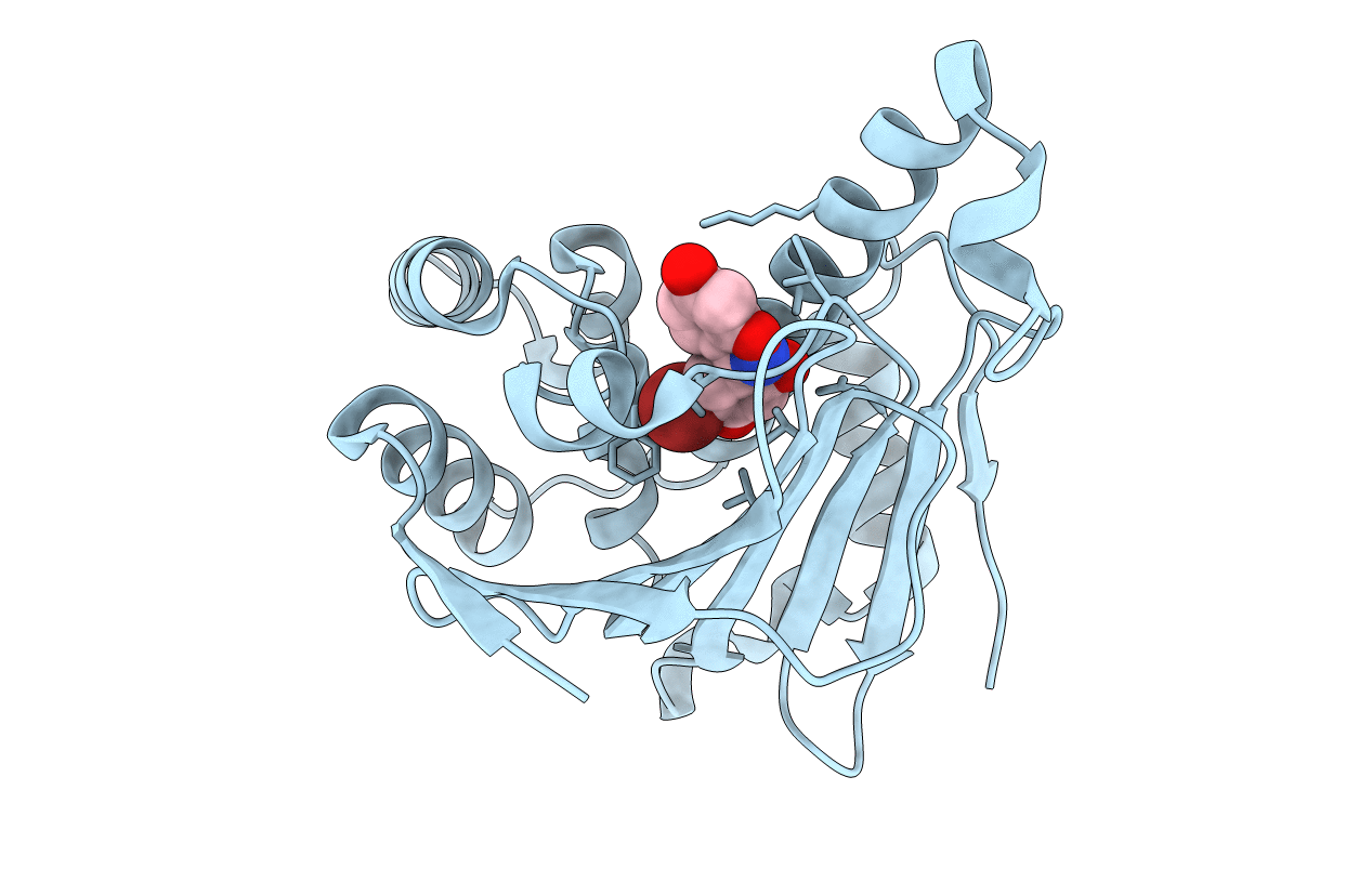 3BM9 image