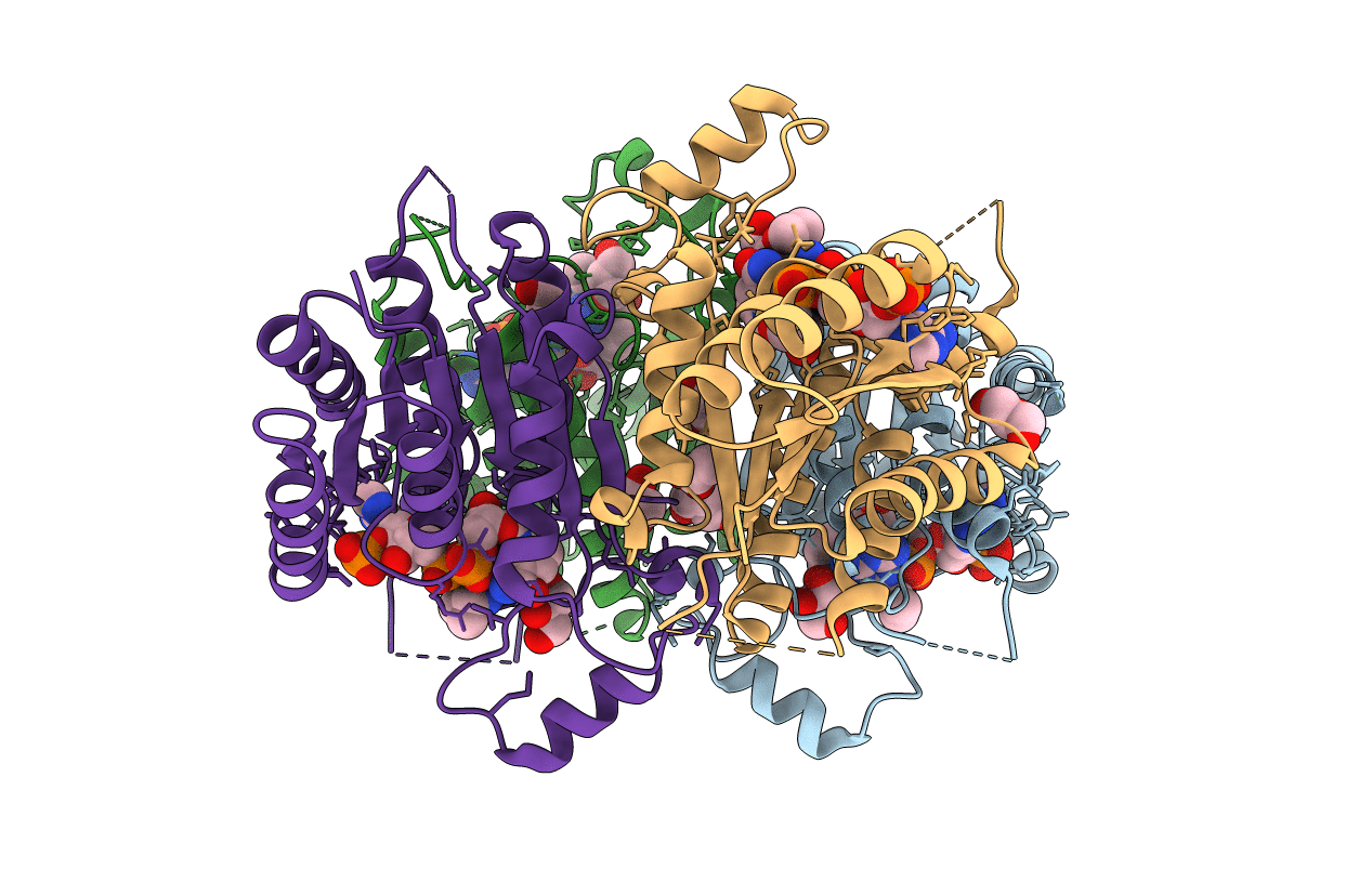 3BMN image