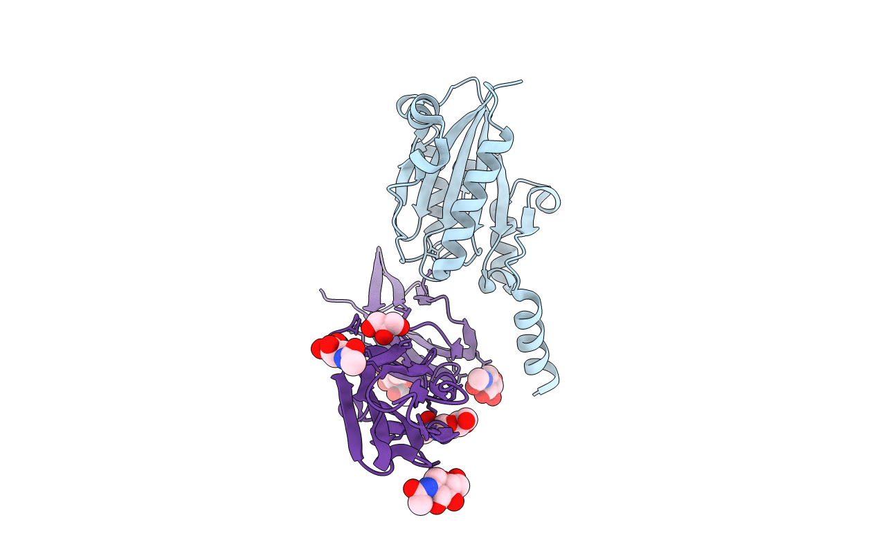 3BN3 image