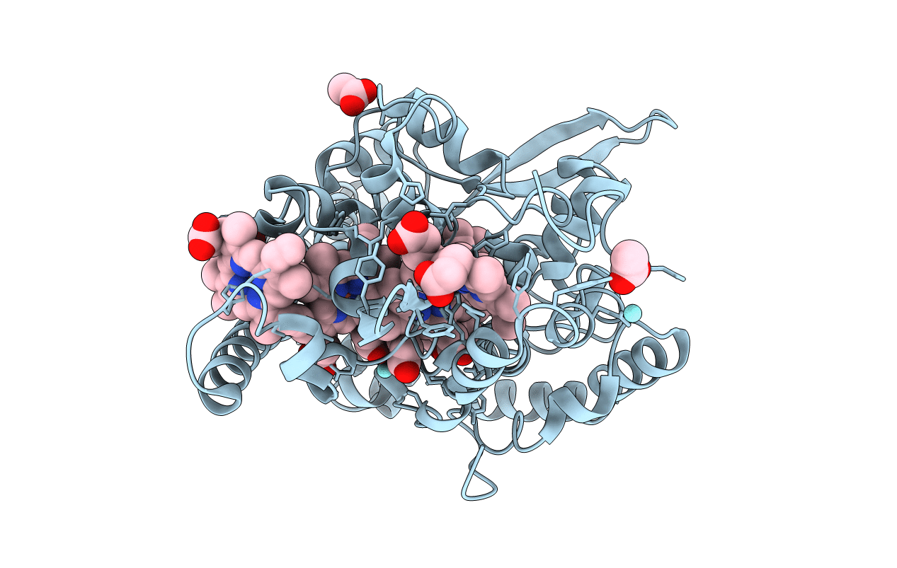 3BNH image