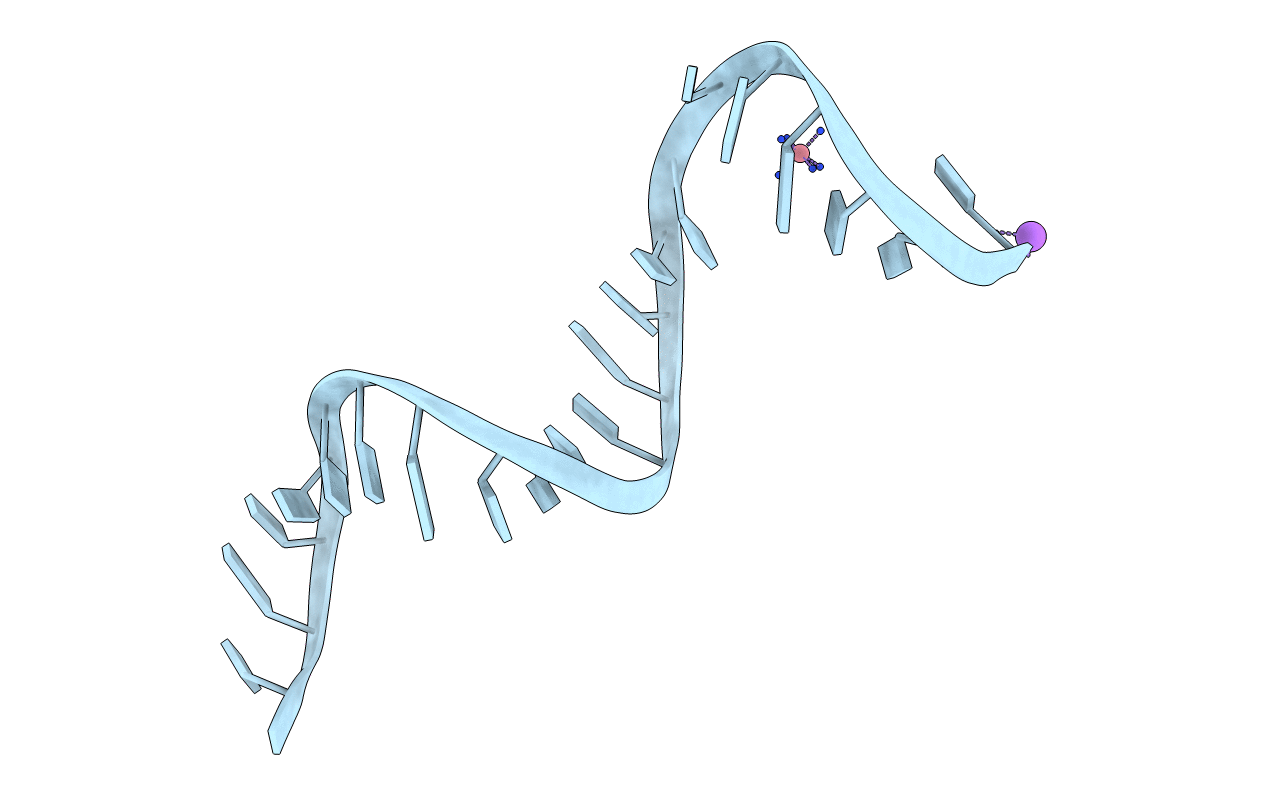 3BNT image