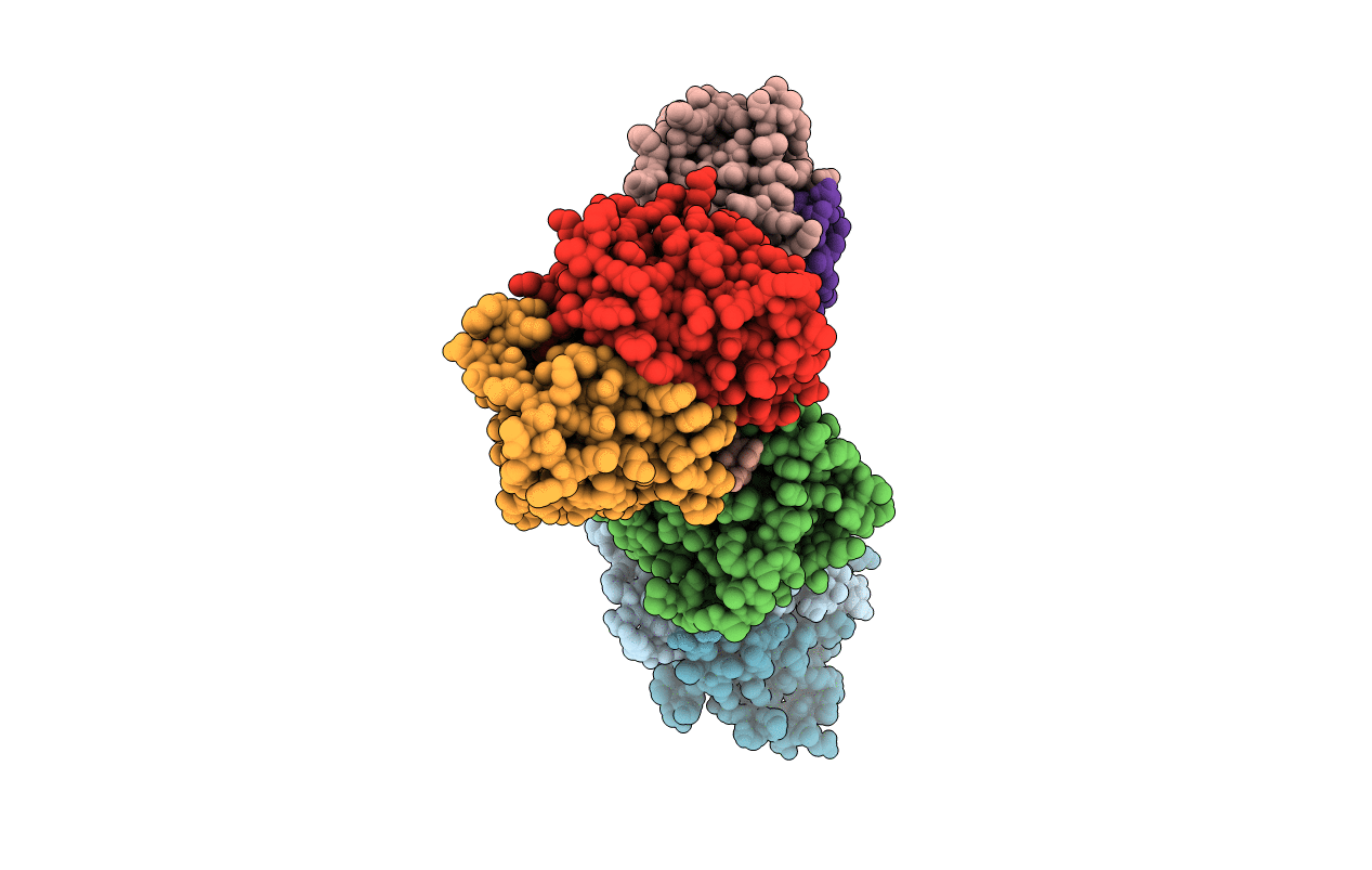 3BNV image