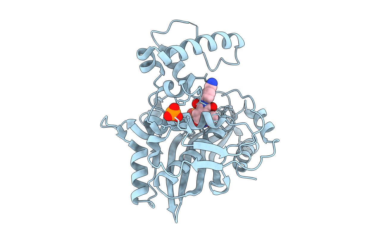3BNZ image