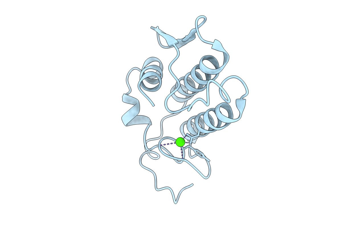 3BP2 image