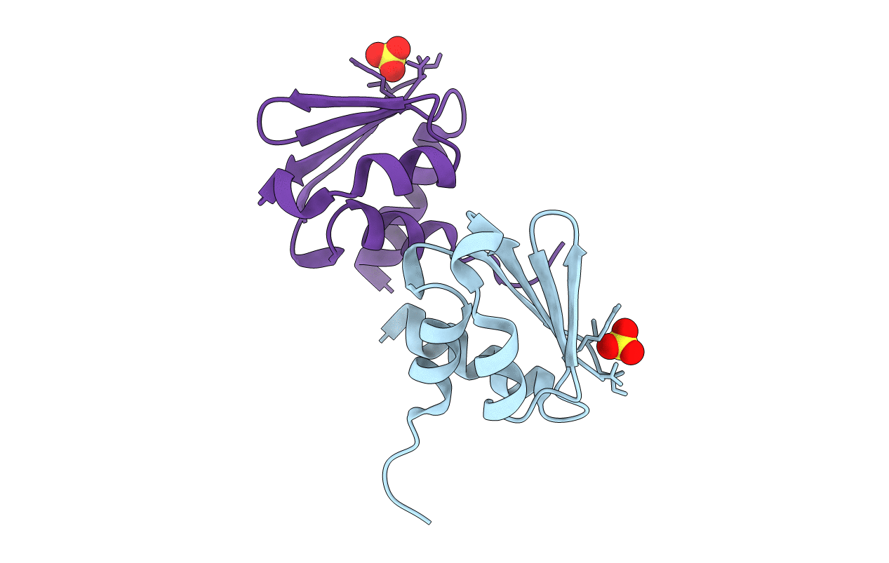 3BP3 image
