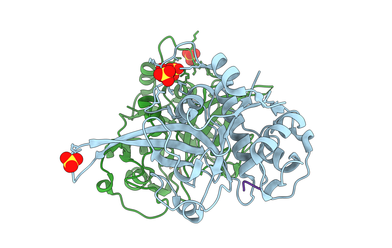 3BPM image