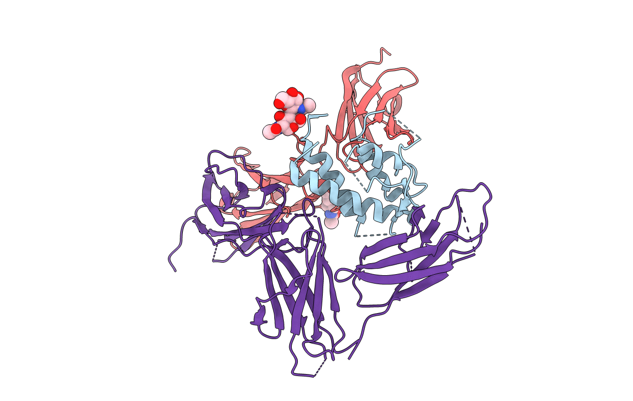 3BPO image
