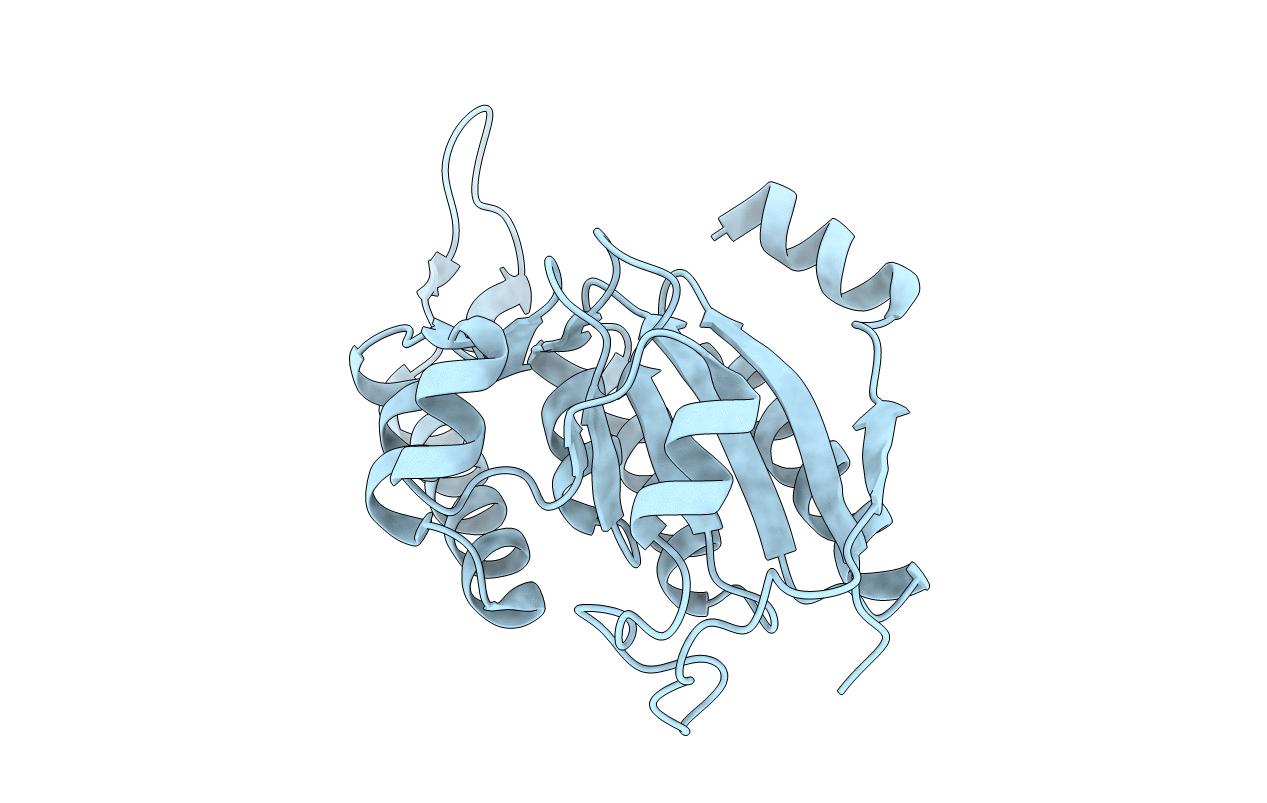3BPP image