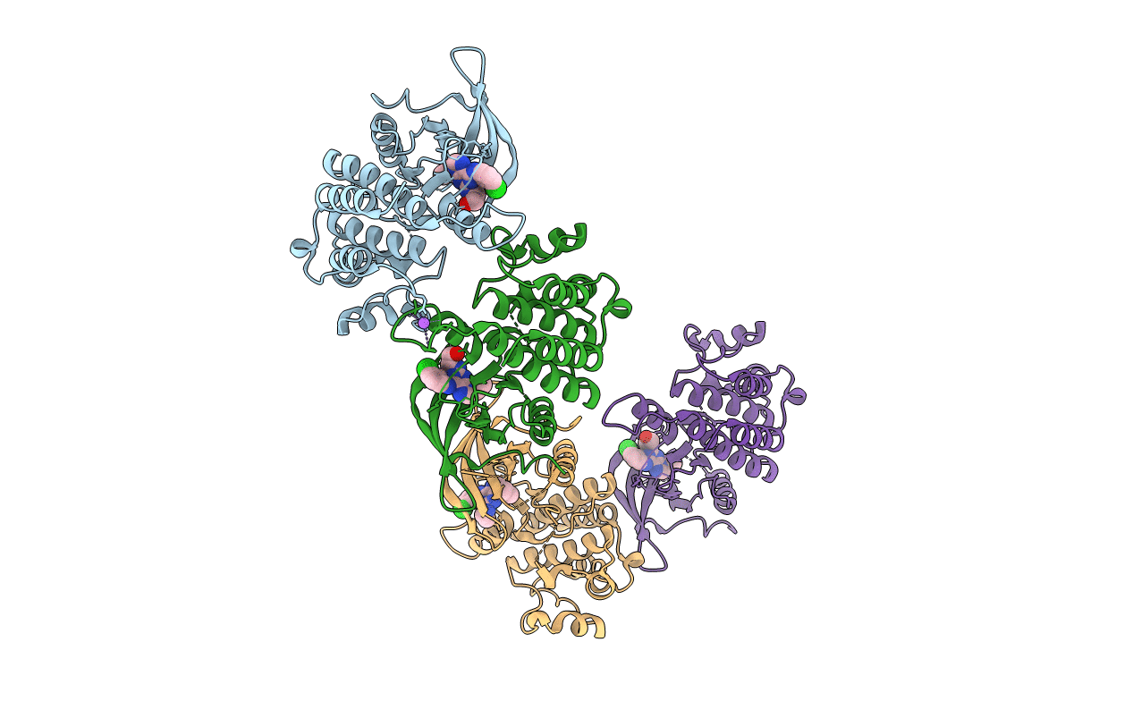 3BPR image
