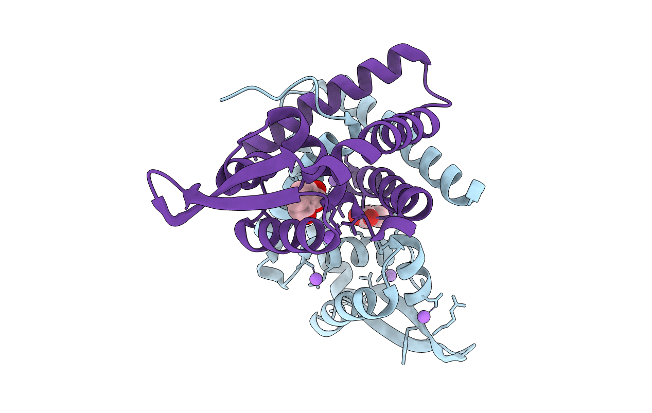 3BPX image