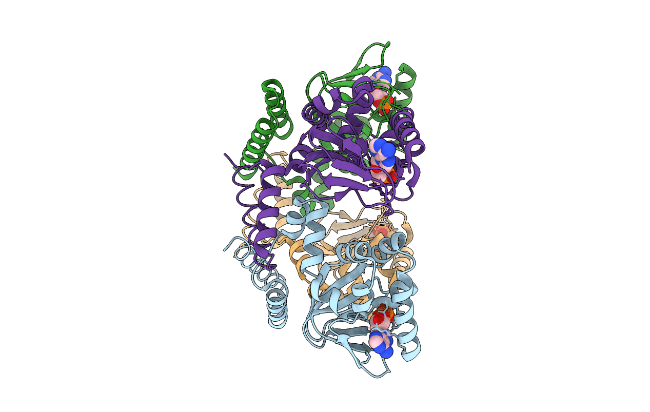 3BPZ image