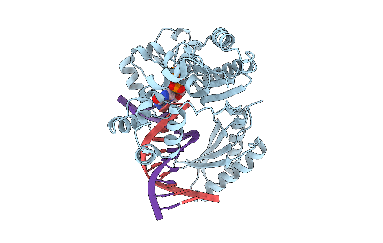 3BQ1 image