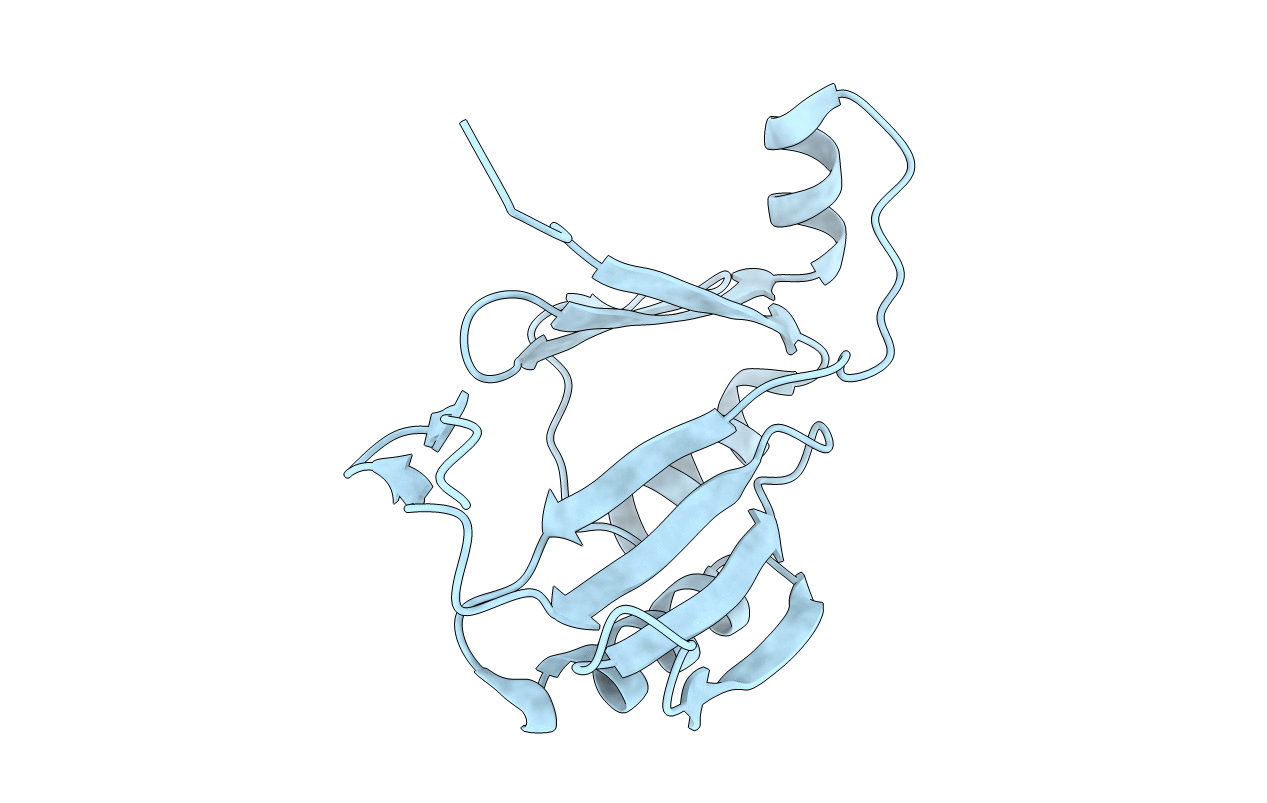 3BQX image