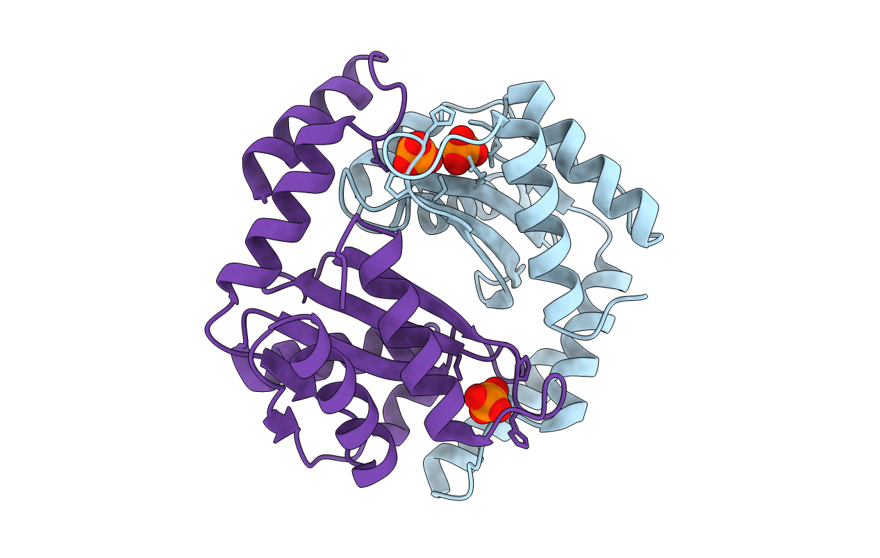 3BRC image