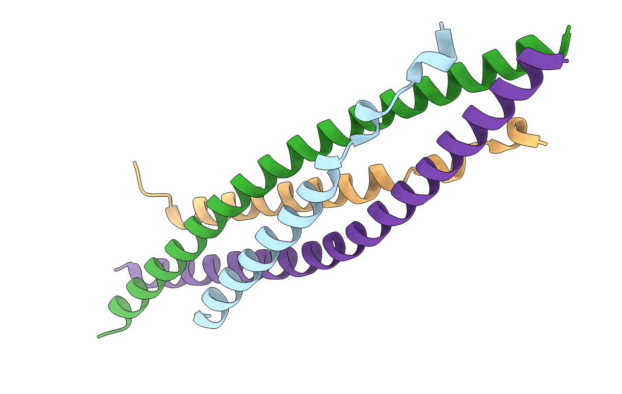 3BRT image
