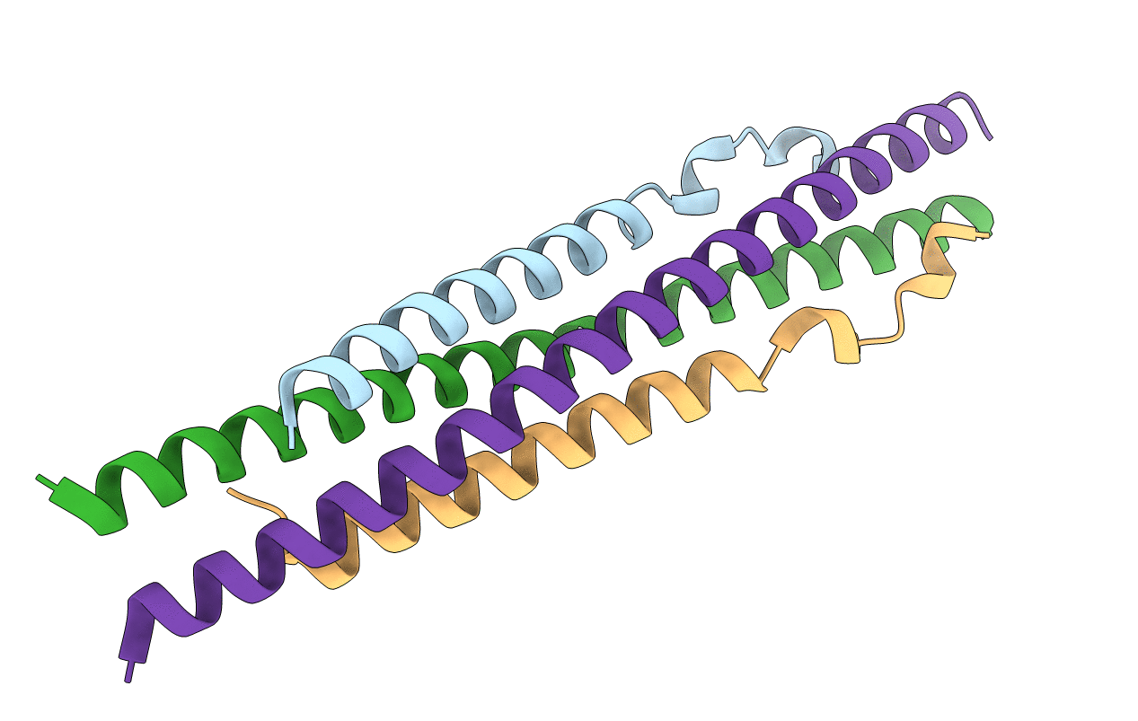 3BRV image