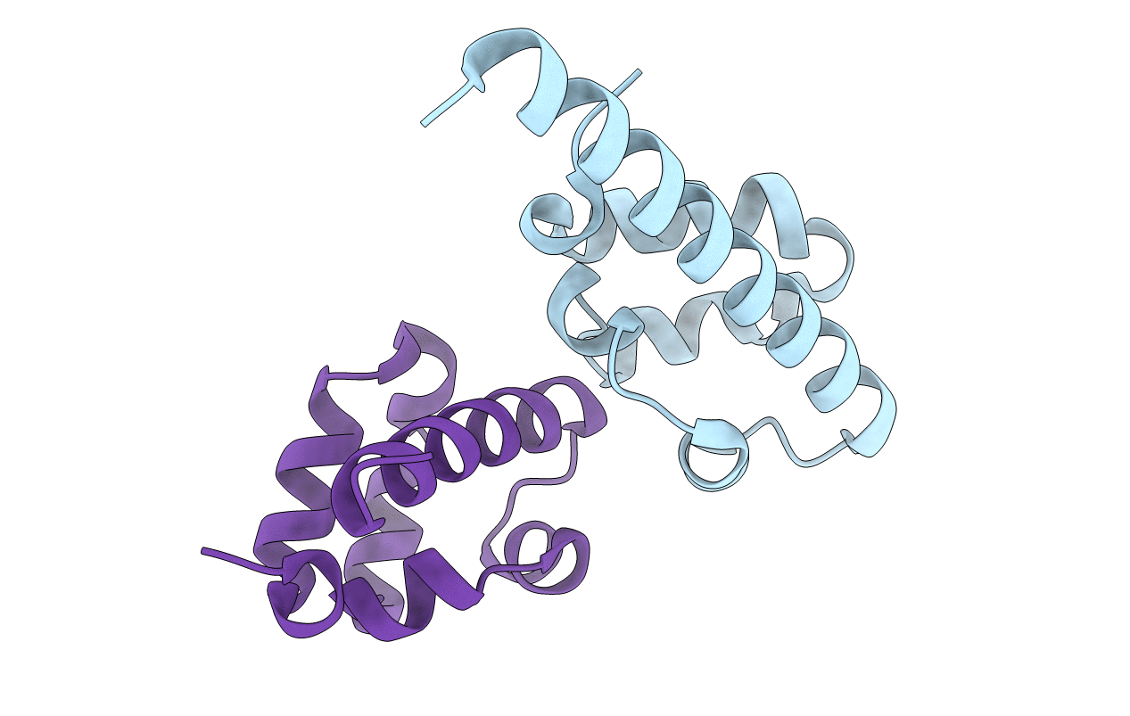 3BS5 image
