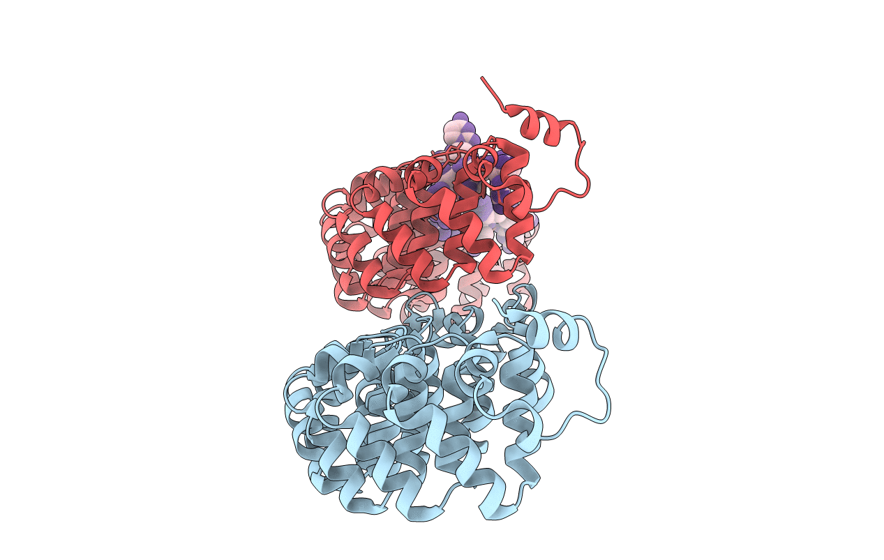 3BSB image