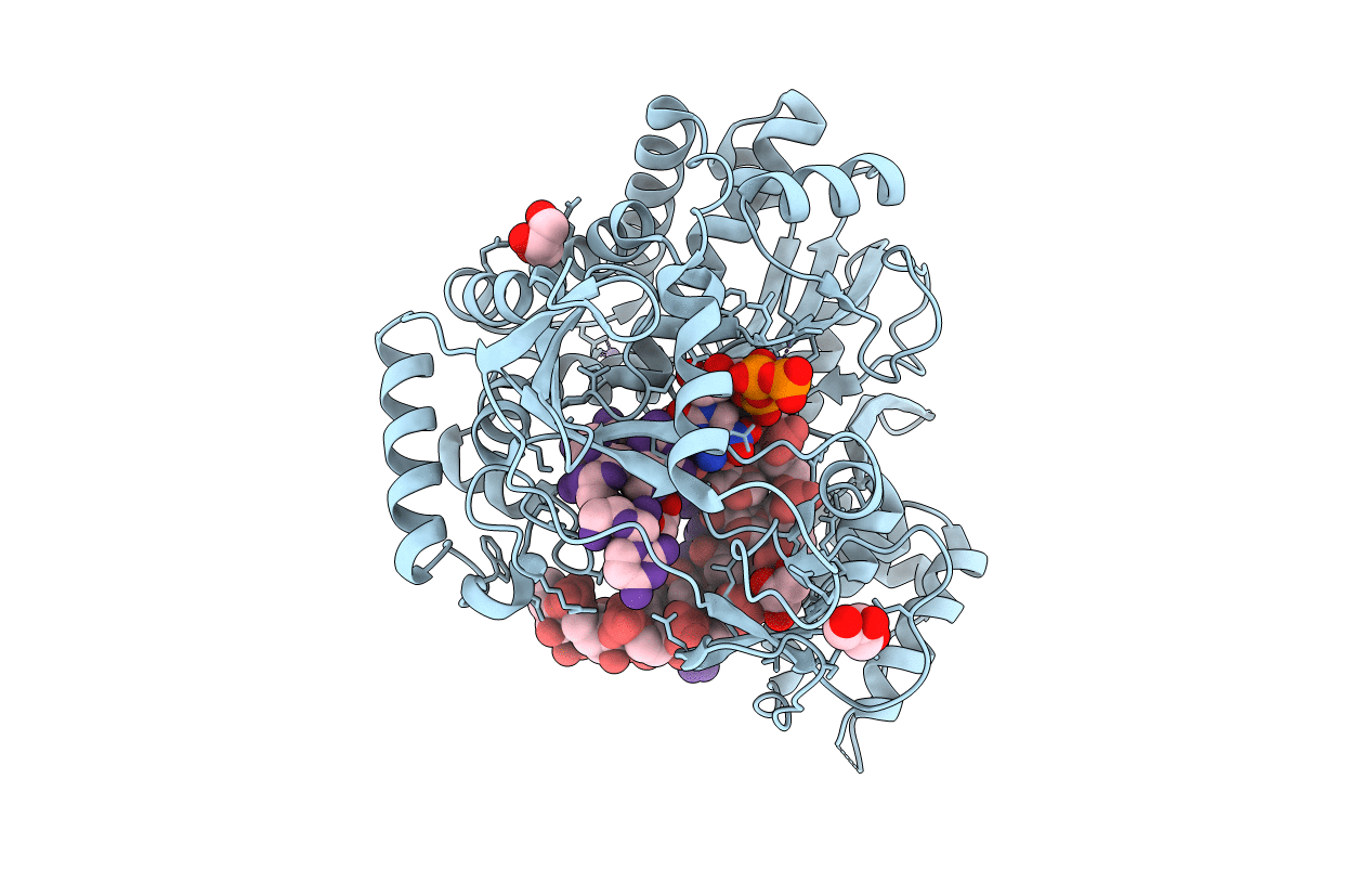 3BSN image