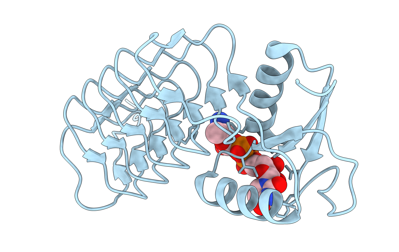 3BSS image