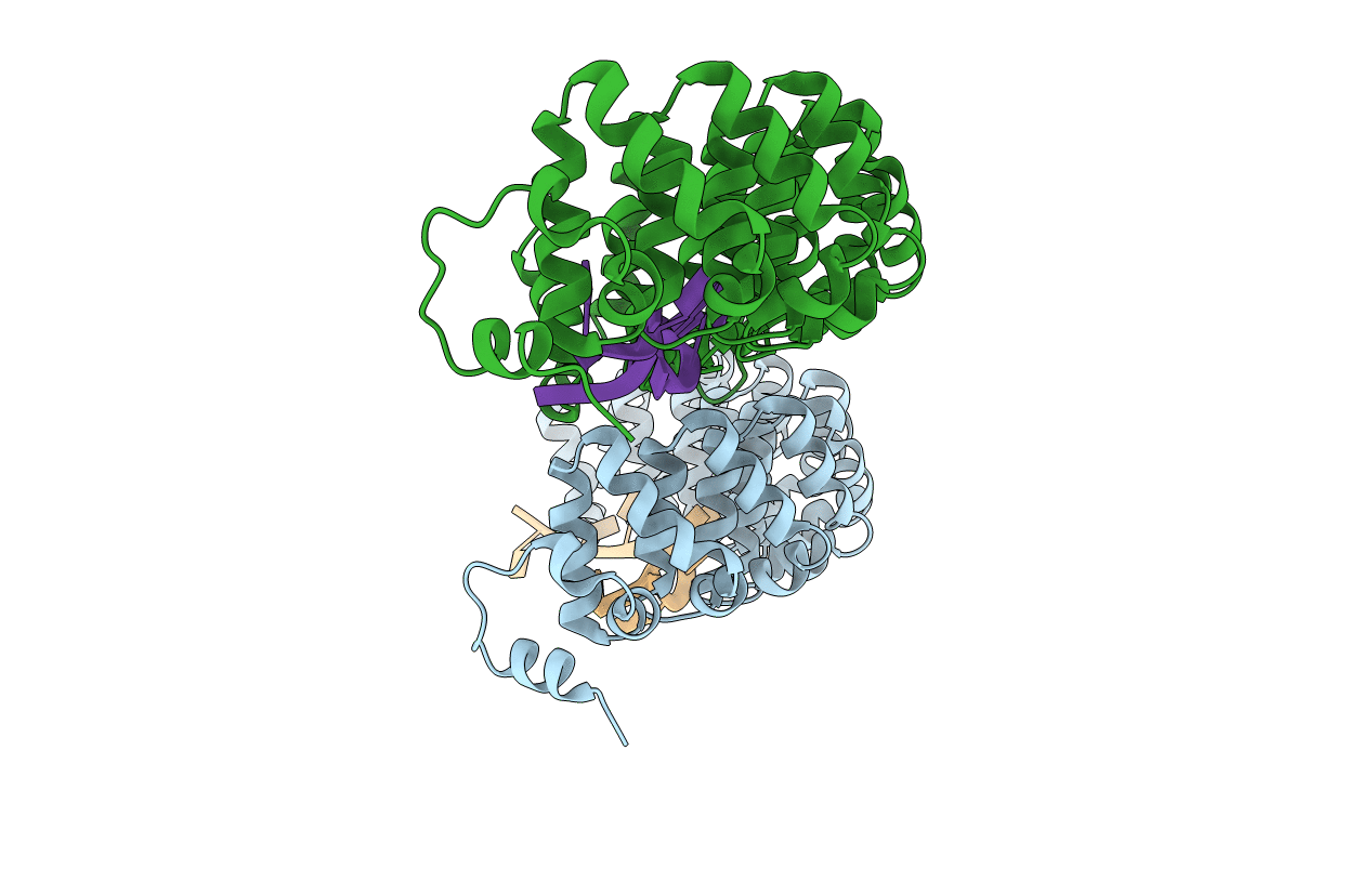 3BSX image