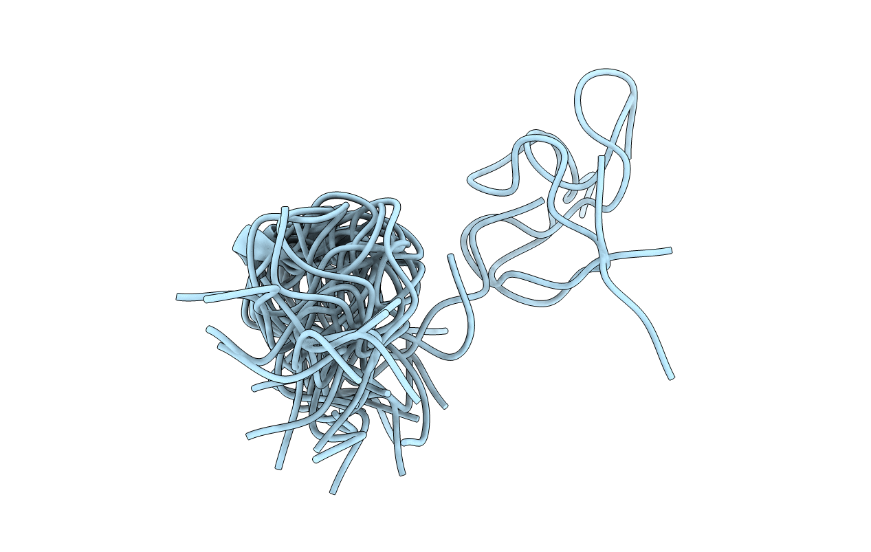 3BTB image