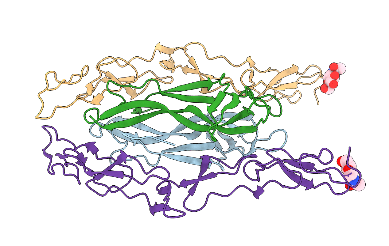 3BUK image