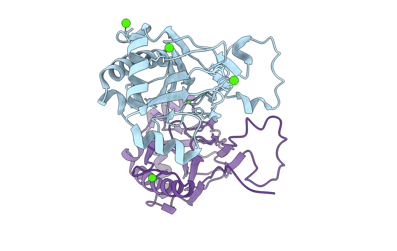 3BVC image