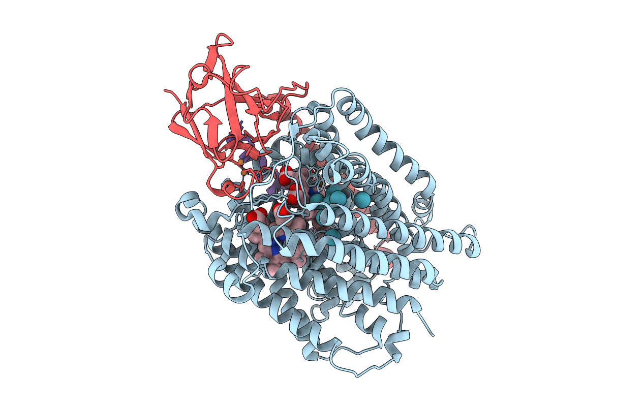 3BVD image