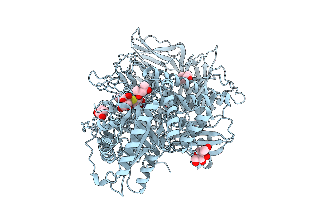 3BVT image