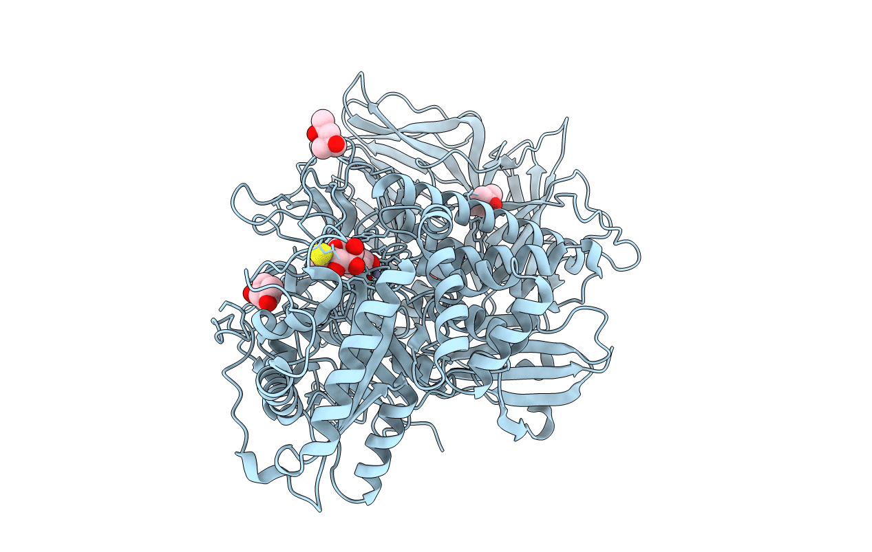 3BVV image
