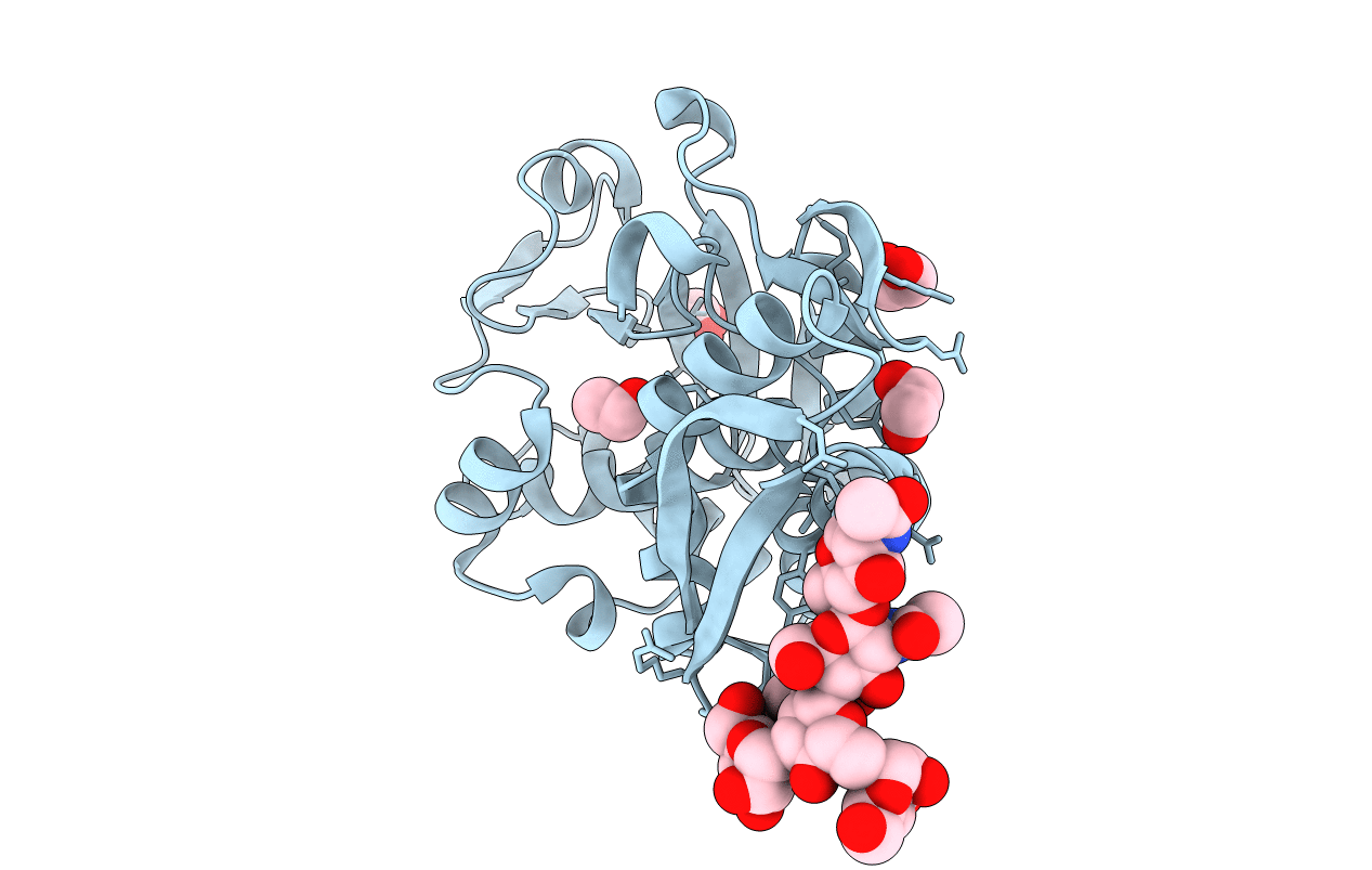 3BWH image