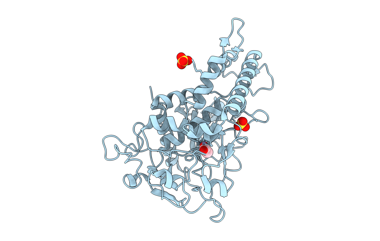 3BWI image