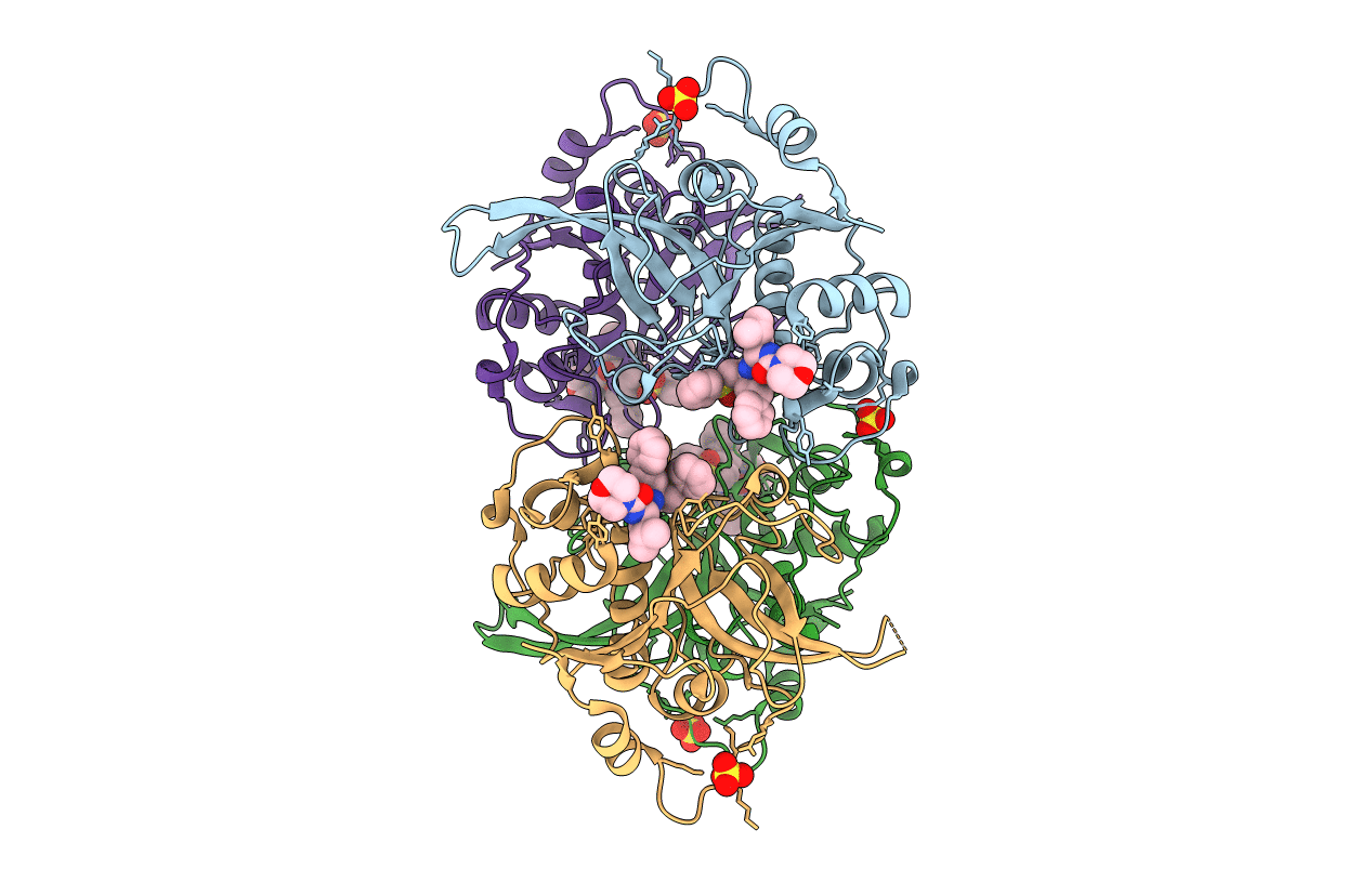 3BWK image