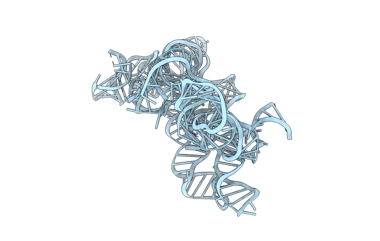 3BWP image