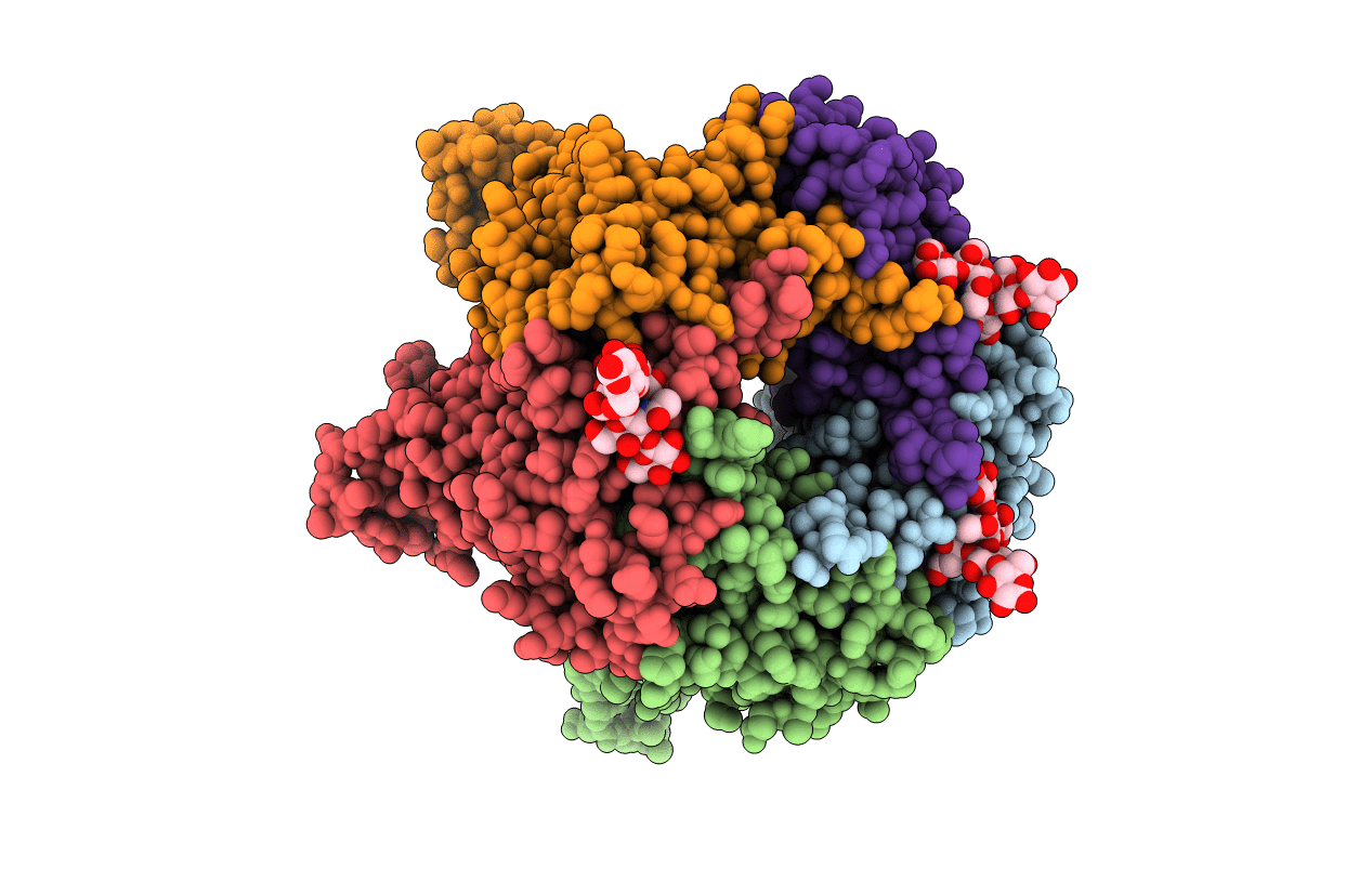 3BWR image