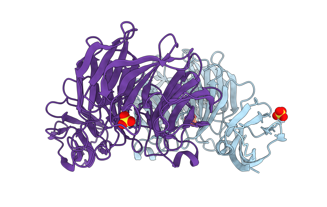 3BWS image