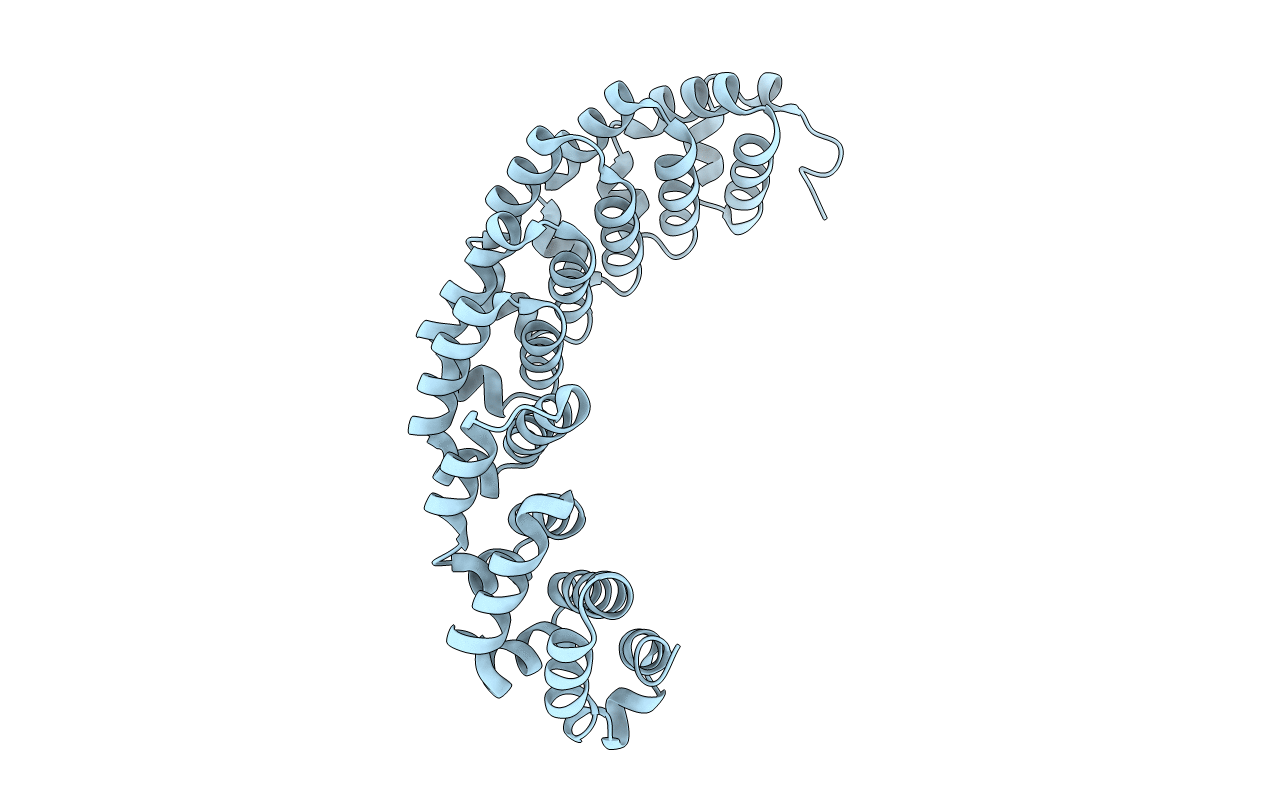 3BWT image