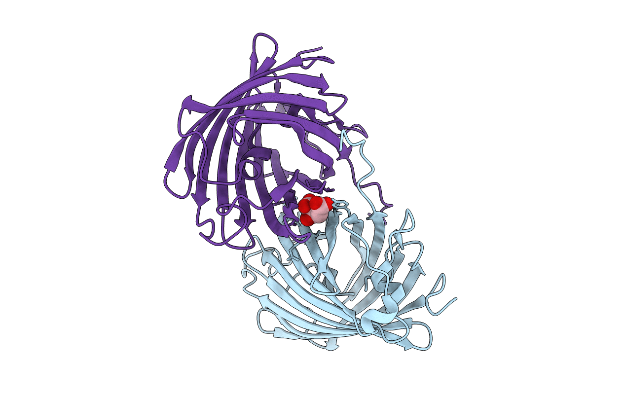 3BXA image