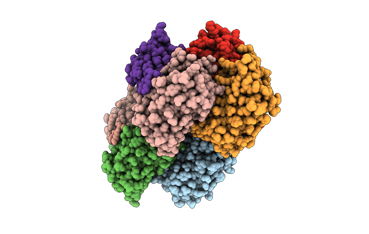 3BXB image