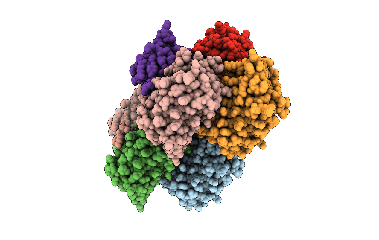 3BXC image